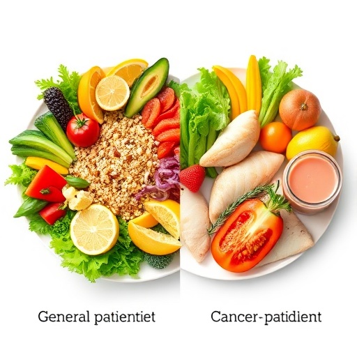 일반 환자식과 항암식단 비교