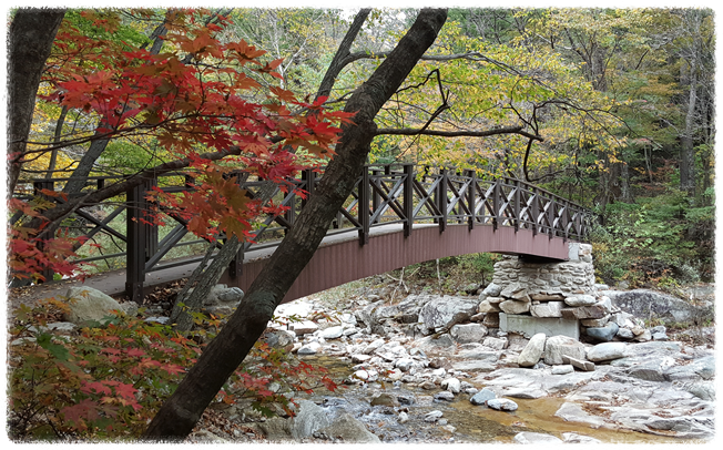 템플스테이 후기