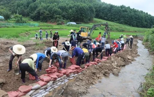충남-당진시-수해피해-복구-사진