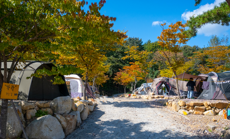 가야랜드 달빛야영장