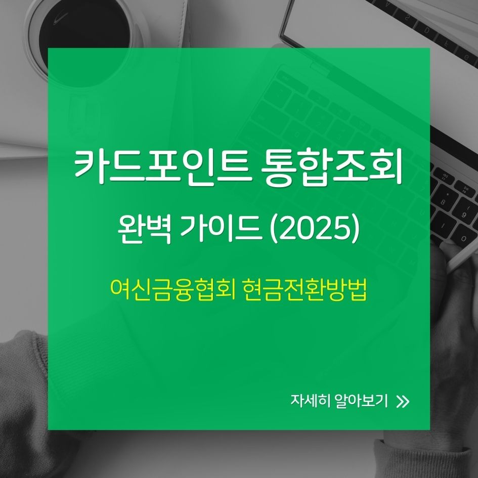 카드포인트 통합조회 화면 예시