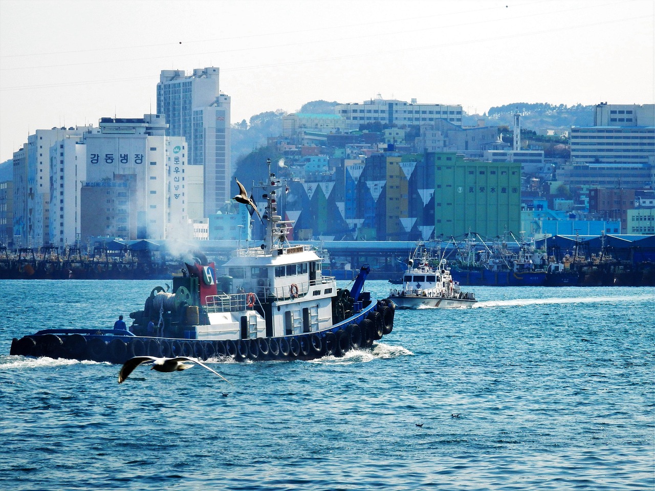부산 비치울트라 마라톤