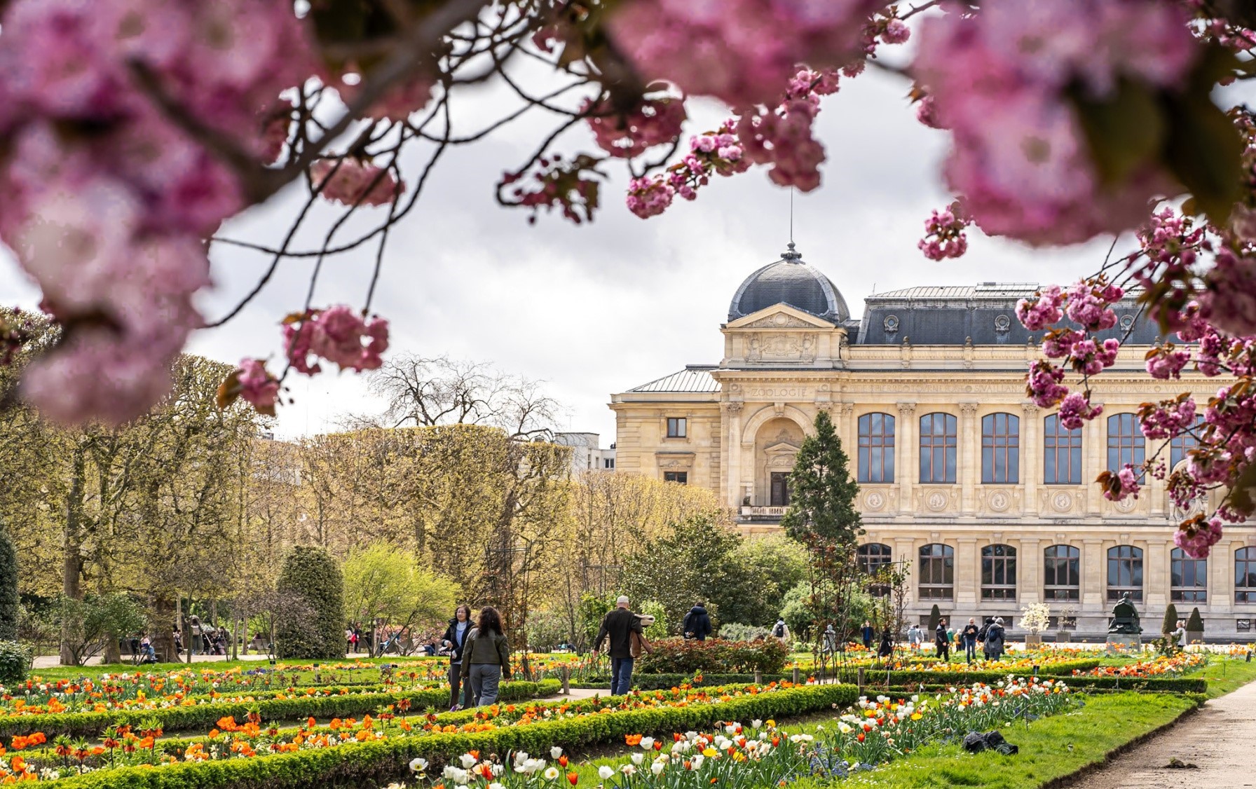파리 자르댕 데 플랑트 정원의 봄꽃과 고전 건축물 풍경