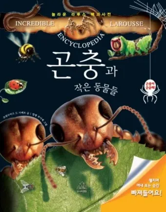 곤충과 동물의 차이점 생물 분류 기준과 이해 돕기_5