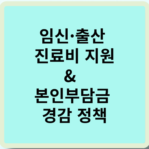 임신·출산 진료비 지원 & 본인부담금 경감 정책