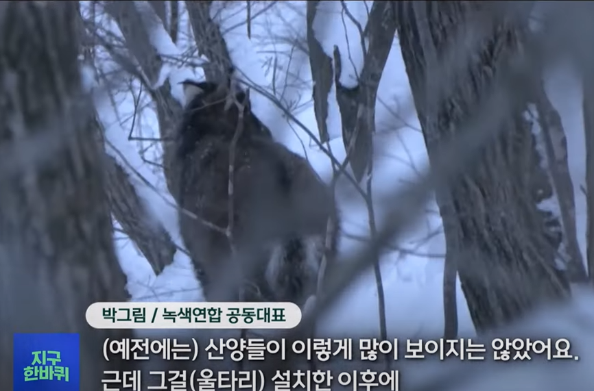 울타리
