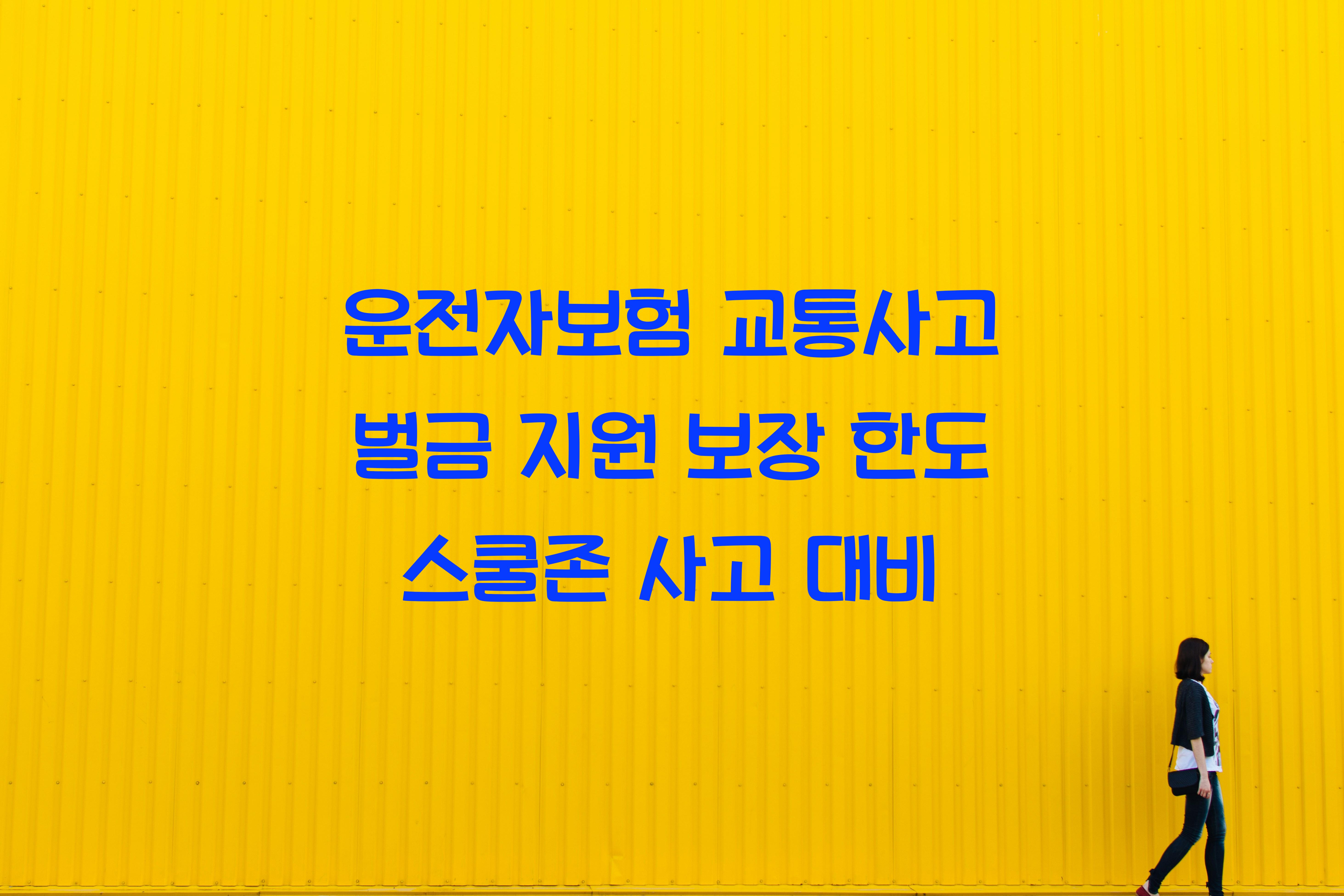 운전자보험 교통사고 벌금 지원