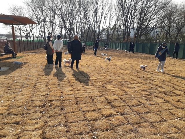 구리시 반려동물 놀이터