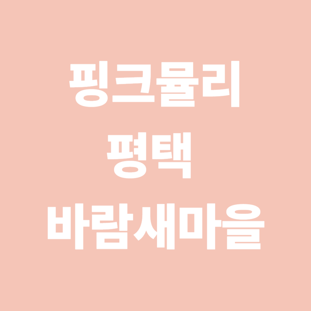 핑크뮬리 명소