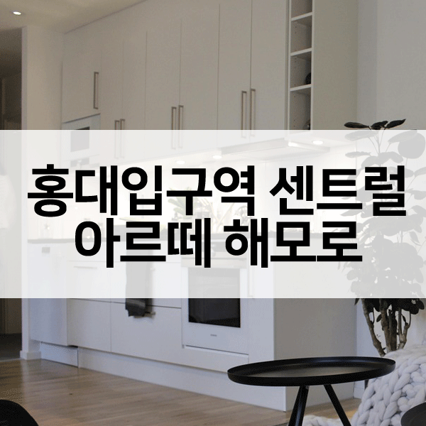 홍대입구역센트럴아르떼해모로-1