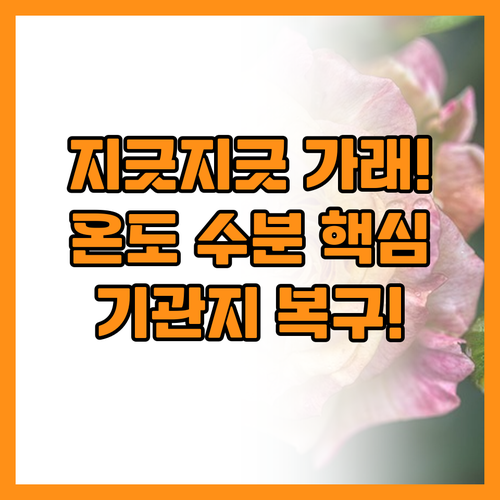 만성 가래 탈출 온도와 수분으로 기관..