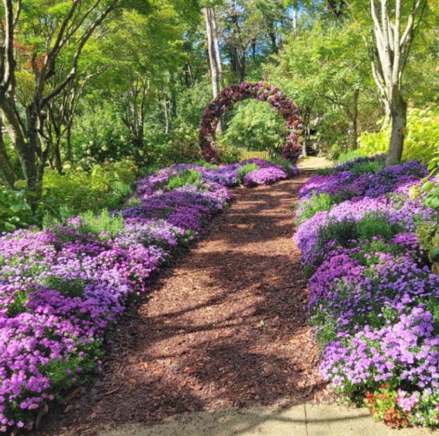 화담숲 주차장 및 셔틀버스 꿀팁 (위치 · 요금 · 시간표 포함)