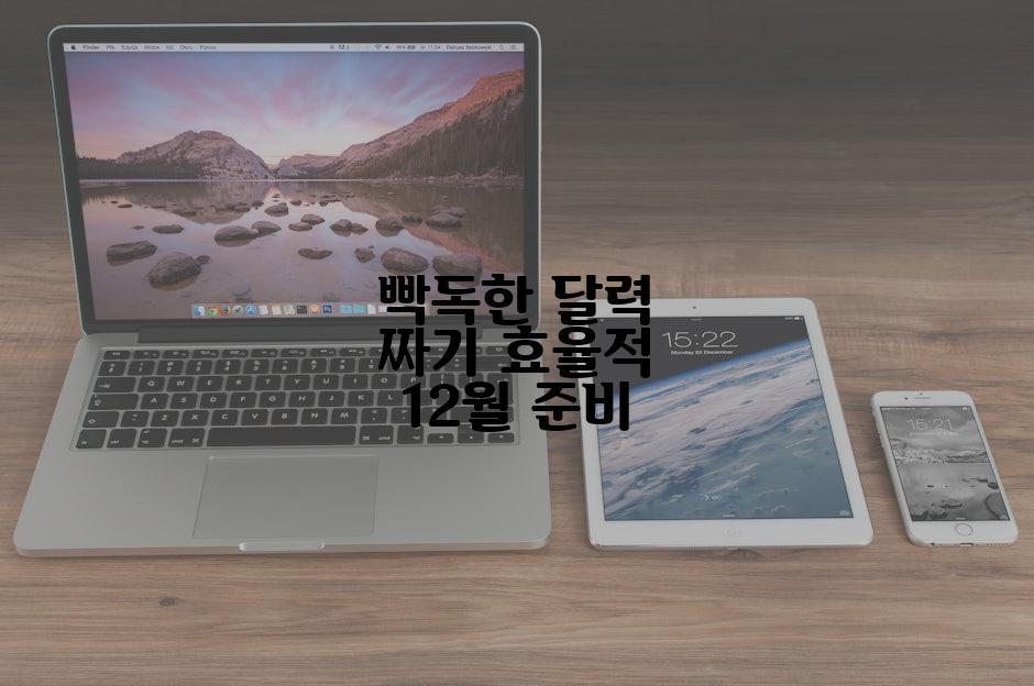 빡독한 달력 짜기 효율적 12월 준비