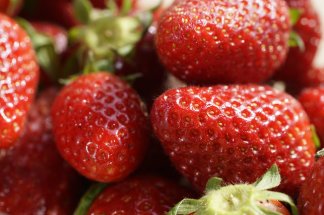 지금 안 먹으면 손해｜2월 제철 음식 총정리 2탄