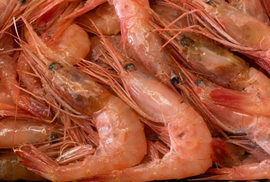단새우이자 북쪽분홍새우로 부르는 새우가 놓여있는 사진.