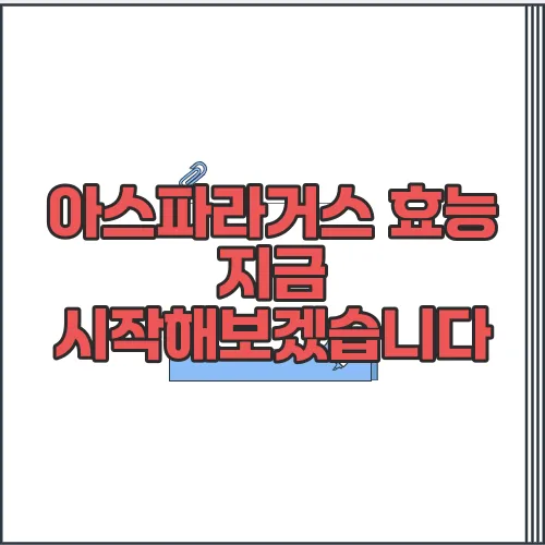 아스파라거스 효능 지금 시작해보겠습니다