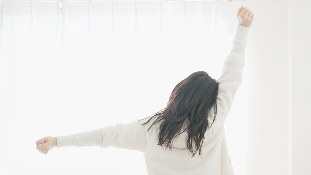 멜라토닌 효능 효과