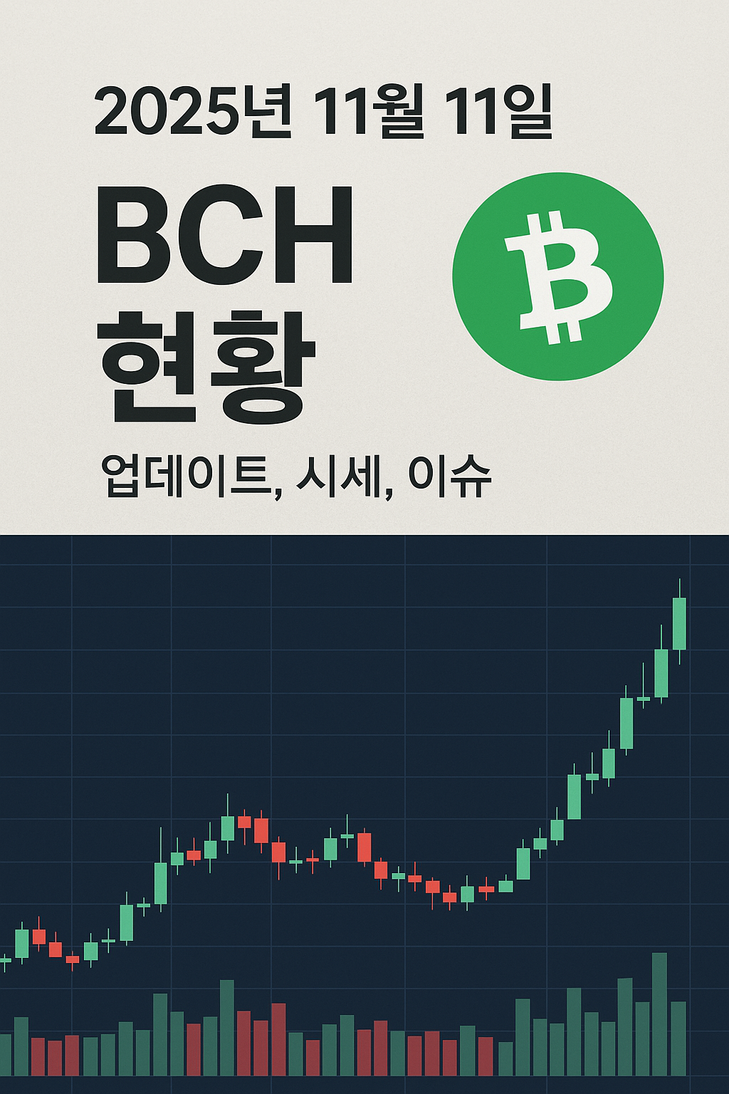 2025년 11월 11일 BCH 현황 (업데이트, 시세, 이슈) 이미지