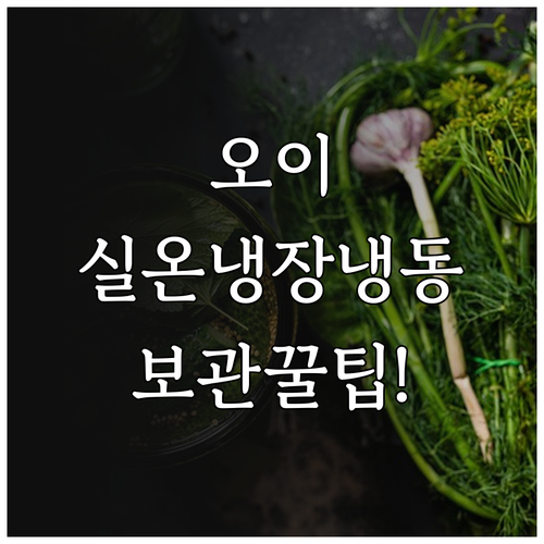 오이 실온 냉장 냉동 보관 기간과 최..