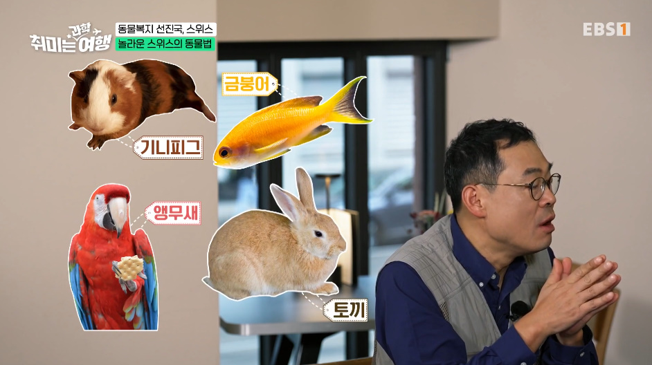 132년전부터 동물 무마취 도살법 등록했다는 스위스의 동물법.jpg | 인스티즈