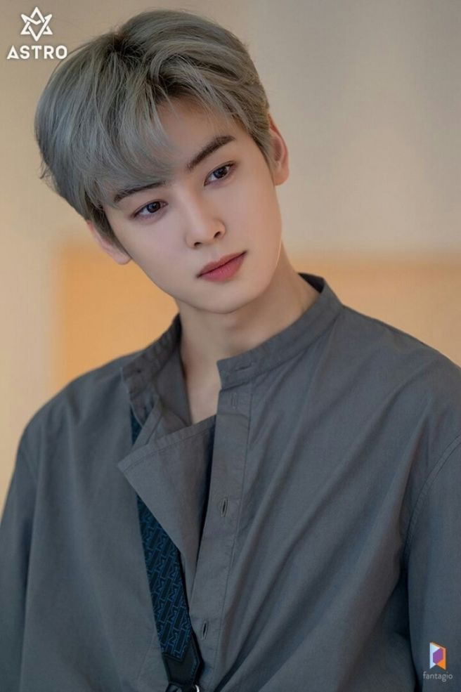 차은우 조세심판 청구 이유: 국세청 130억 세금 완납, 연예인 1인 기획사 실질과세 쟁점 정밀 분석