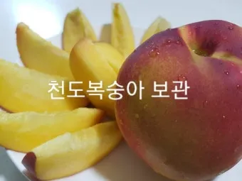 복숭아 보관방법과 싱싱하게 유지하는 팁_21