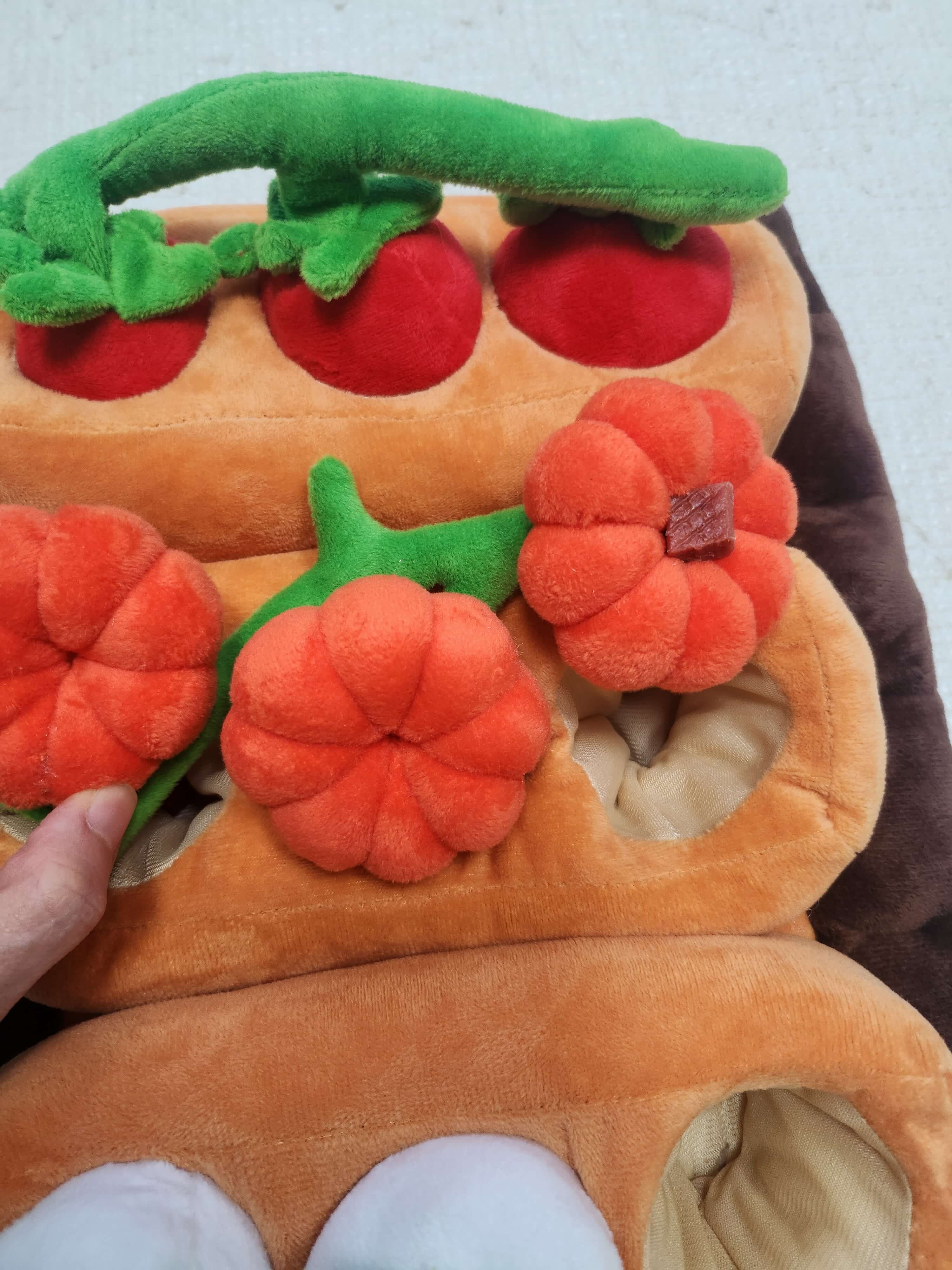 펫프렌즈 노즈워크