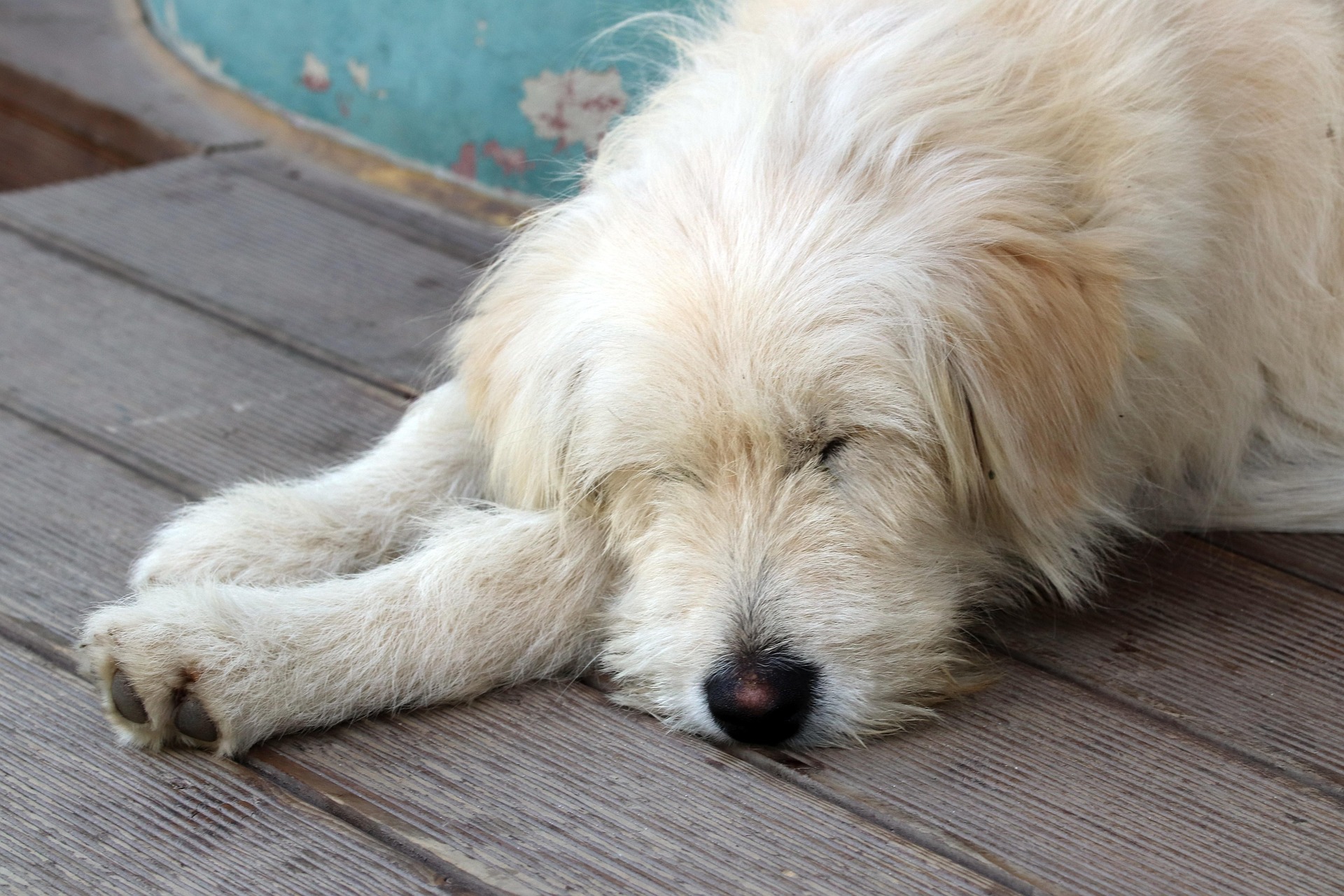 스트레스 관리 생활 습관