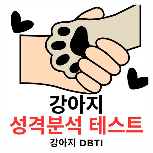 🐶 우리 강아지 MBTI가 있다면? DBTI로 알아보는 우리 집 댕댕이 성격 분석서