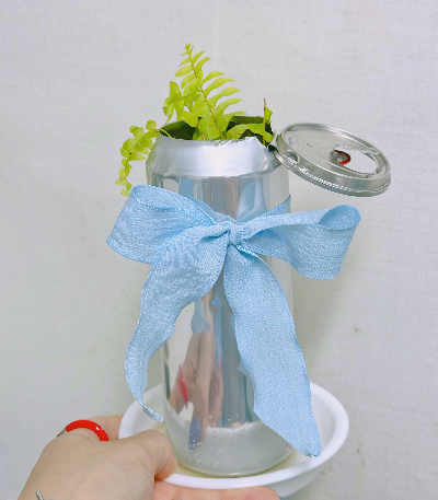 무늬보스톤고사리 화분