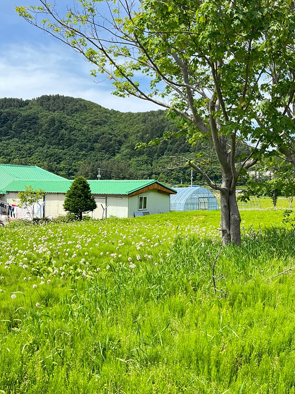 울릉도 카페 추천