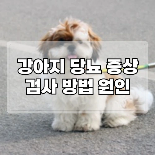 강아지-당뇨-증상-검사-방법-원인