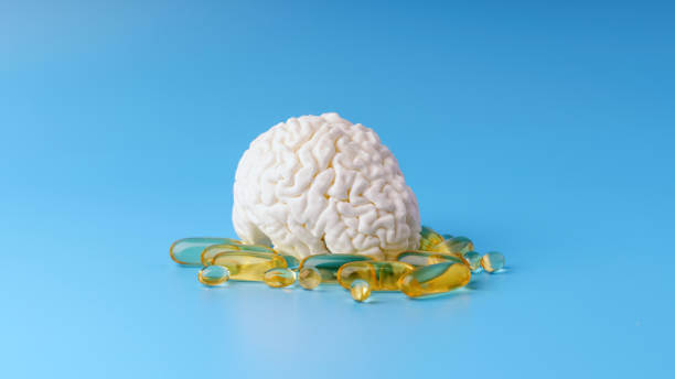 오메가3 효능 총정리 : 동물성 vs 식물성 비교까지!!