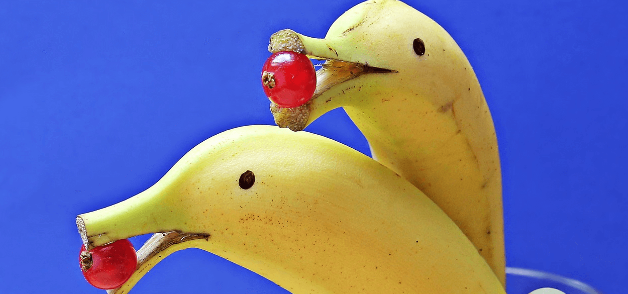 칼륨 많은 음식 사진 - 1