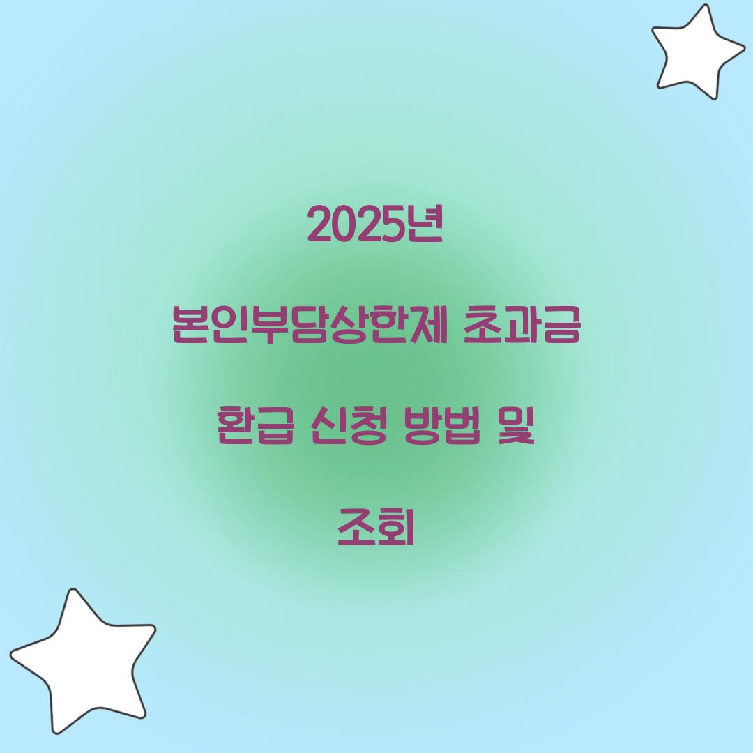 2025년 본인부담상한제 초과금 환급