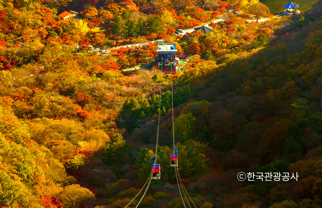 내장산 국립공원 등산코스