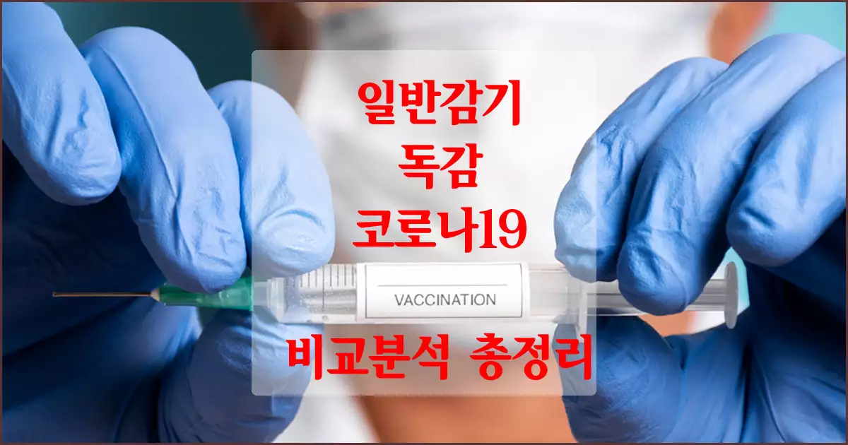 일반감기/독감/코로나19 비교분석 총정리