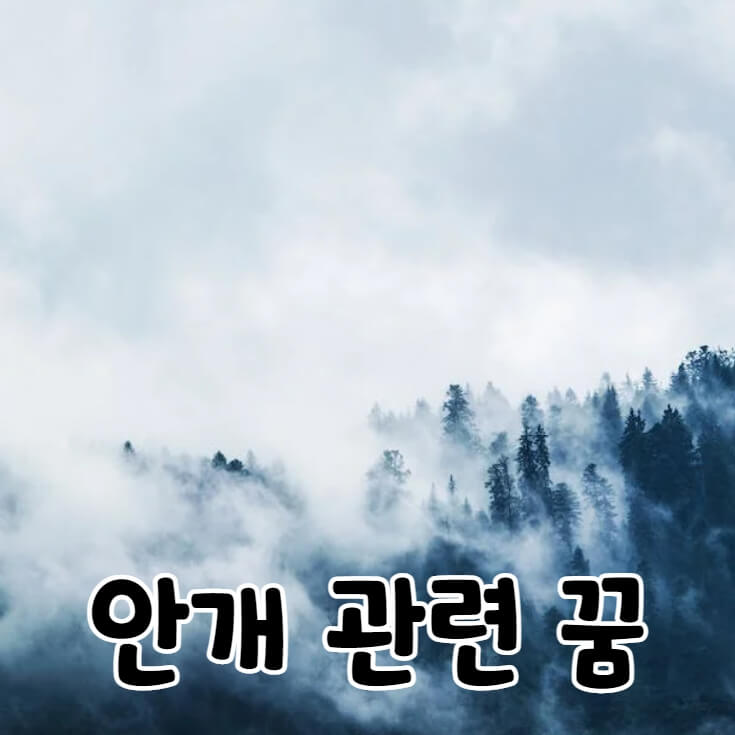 안개가 자욱한 소나무 숲