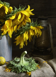 겨울철 타이어 적정 공기압