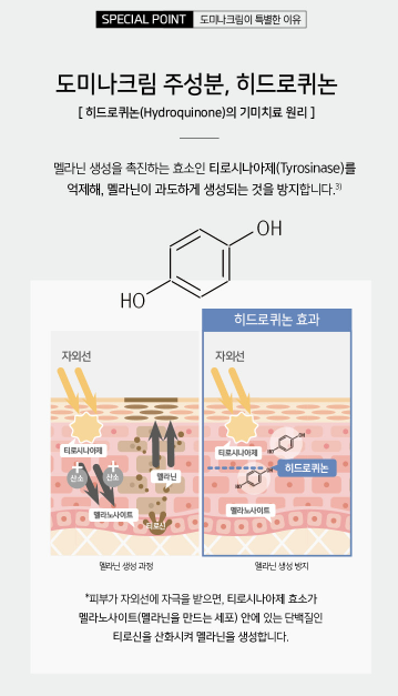 도미나 크림