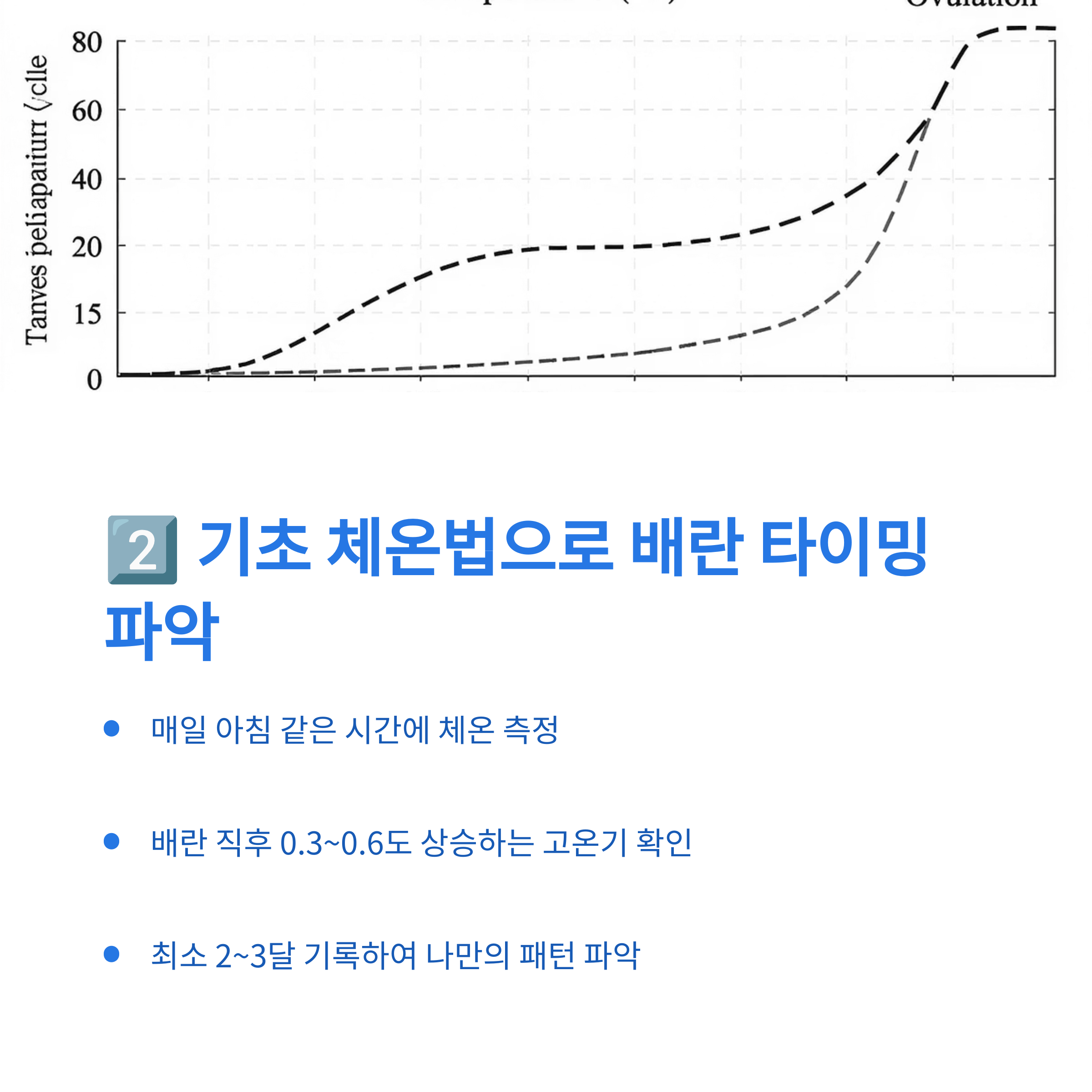배란 후 체온 상승 곡선을 나타내는 기초체온 그래프와 함께 체온 측정을 통한 배란 타이밍 파악 방법을 설명하는 이미지