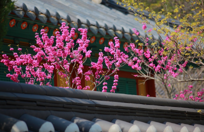 서울 공공한옥 밤마실