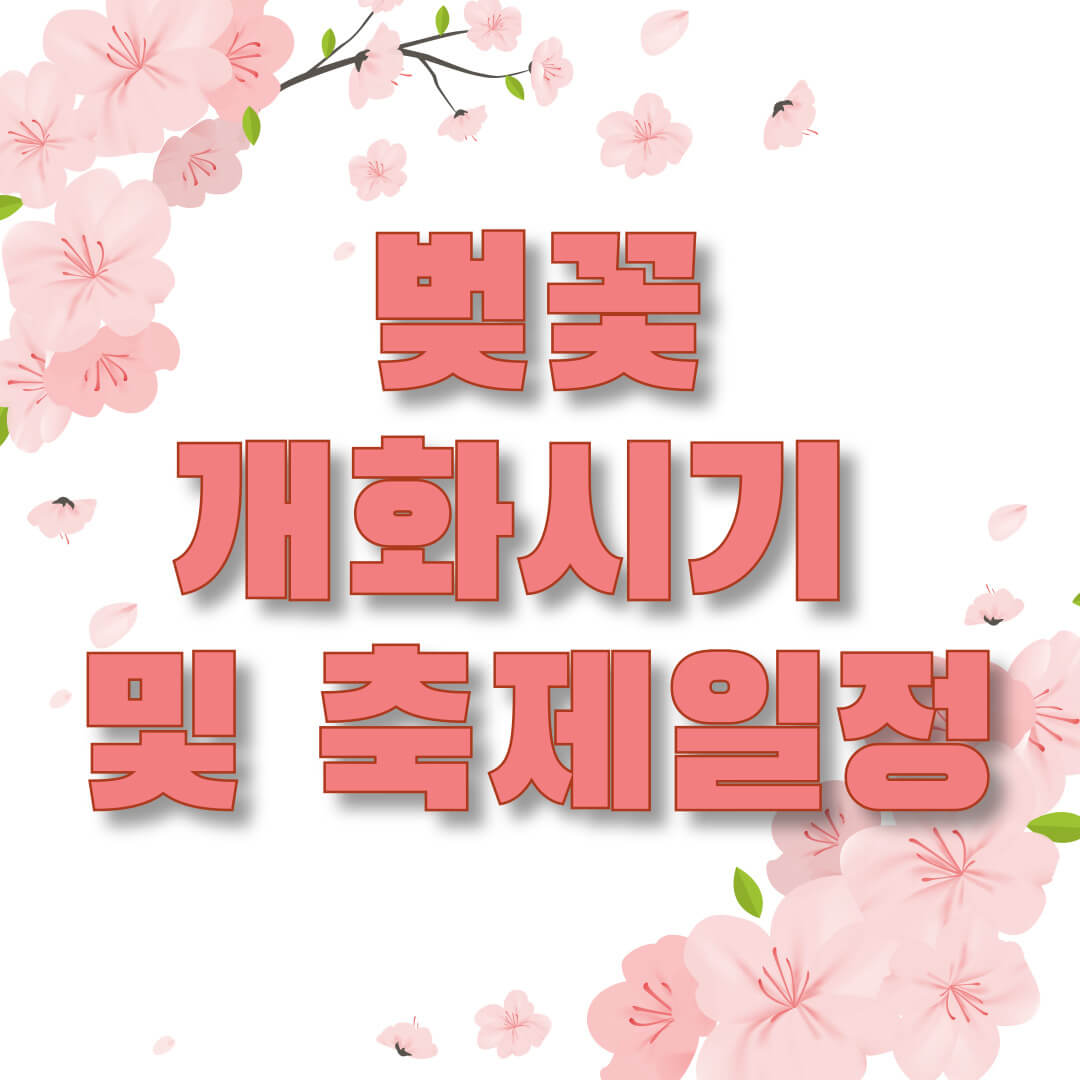 전국 벚꽃 개화 시기 및 축제일정