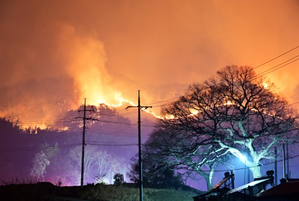 산불 3단계 선포