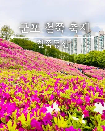 군포 가볼만한곳 베스트10 현지인 추천 필수코스_8