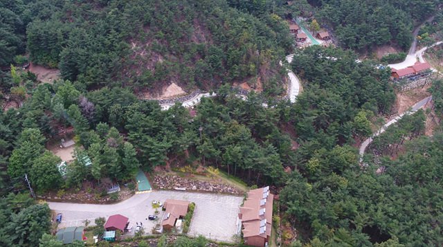 봄꽃구경 가볼만한 곳