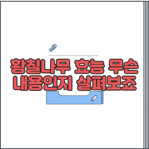 황칠나무 효능 무슨 내용인지 살펴보죠