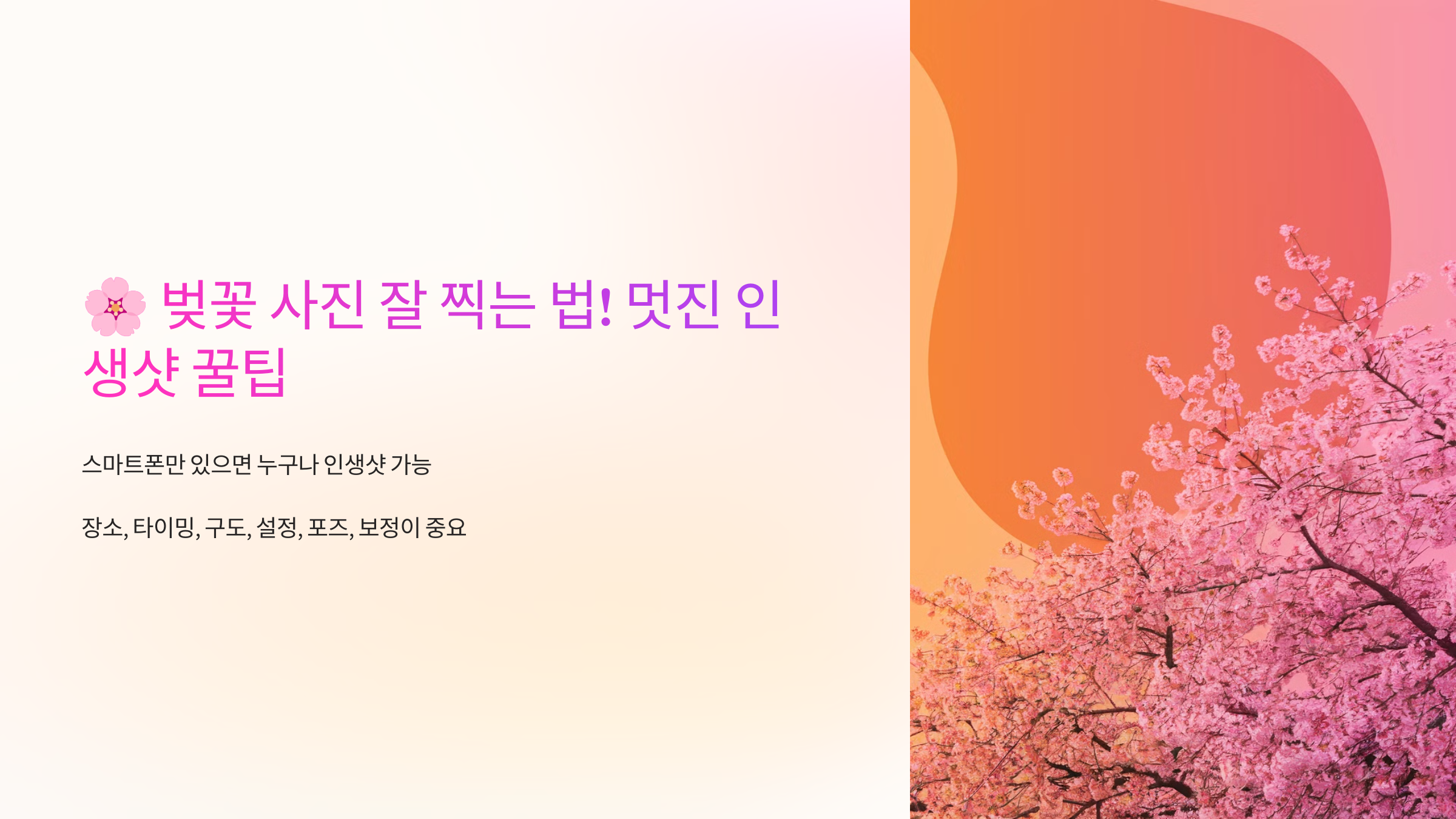 🌸 벚꽃 사진 잘 찍는 법! 멋진 인생샷 꿀팁