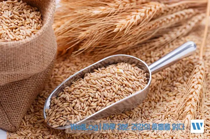 카무트 효소 효능, 먹는법