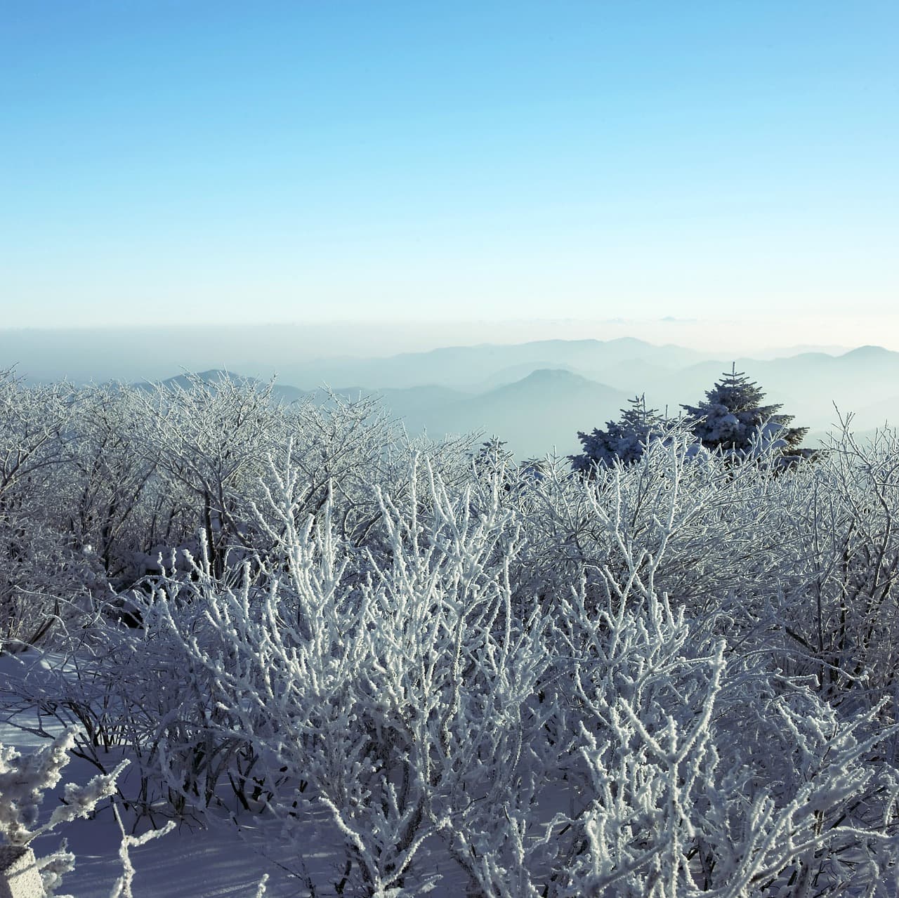 겨울 눈꽃산행 명소 유의사항
